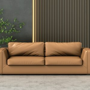 Modern Sofa Real Scene